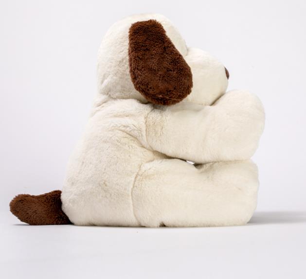 kaison soft toy price