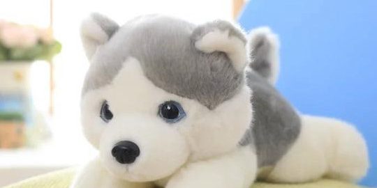 15301750568899559101a34