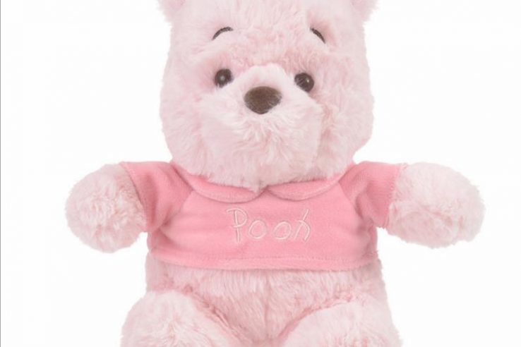 pink bear stuffed animal