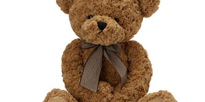 shy bear stuffed animal (1) shy bear stuffed animal