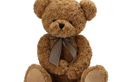 shy bear stuffed animal