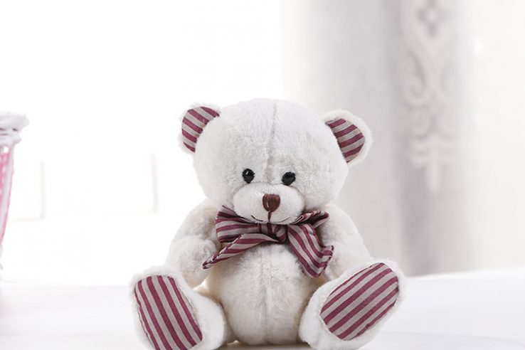 bear stuffed animal