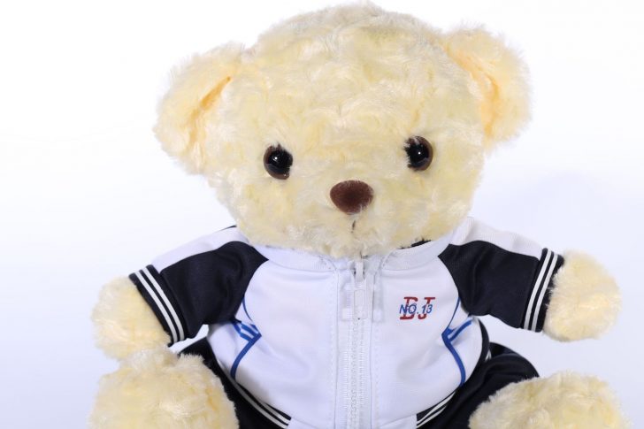 sports bear plush toys (1)